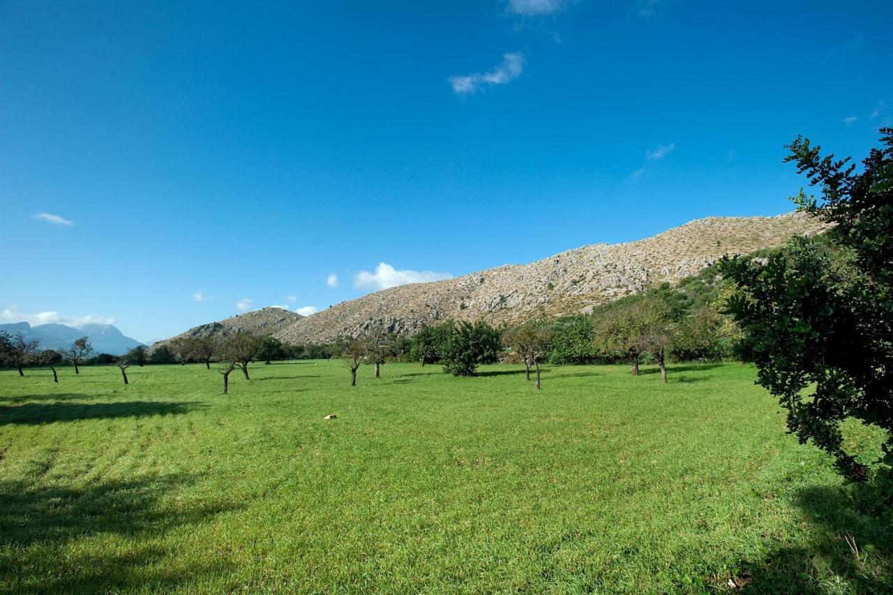 Villa Vilar De Baix By Villa Plus Port de Pollença Dış mekan fotoğraf